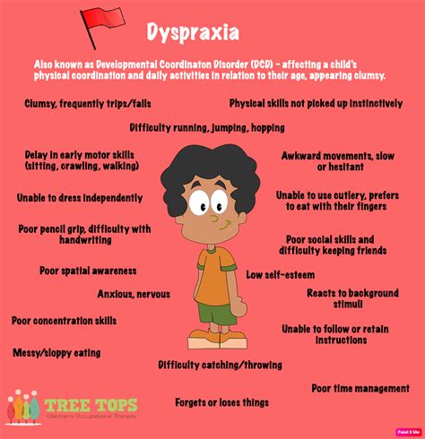 Red flags - Dyspraxia - Tree Tops Children's Occupational Therapy