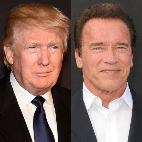 Arnold Schwarzenegger Reacts to Donald Trump's Run for President