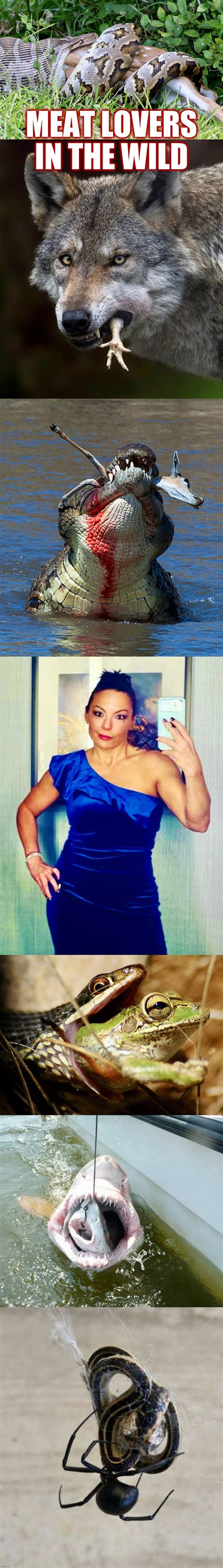 Nature is scary - Imgflip