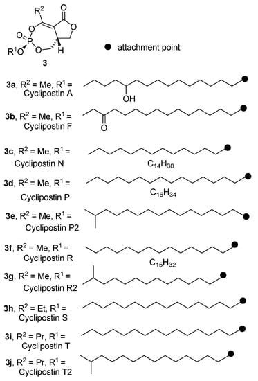 The Chemistry and Biology of Cyclophostin, the Cyclipostins and Related ...
