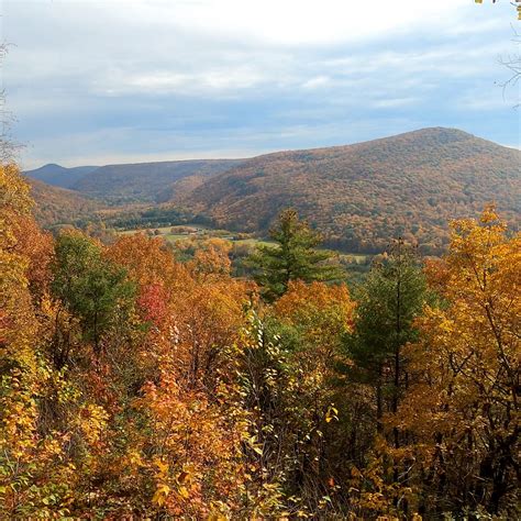 RIDER PARK (Trout Run) - Qué SABER antes de ir (2026)
