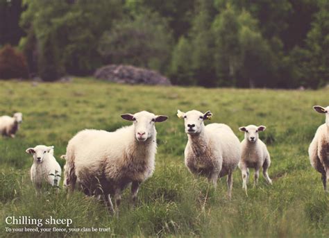 Best Pictures to Resemble JavaScript 的图像结果