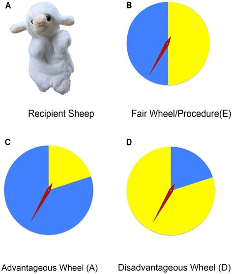 Frontiers | Children’s Inequity Aversion in Procedural Justice Context ...