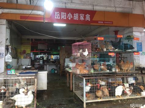 【7图】菜市场家禽店因个人原因转让,长沙芙蓉马王堆商铺租售/生意转让转让-长沙58同城