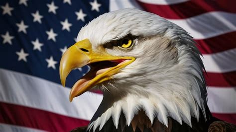 American Symbols 的图像结果