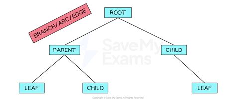 Image result for State Tree Computer Science