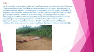 Image result for Forensic Science Insect