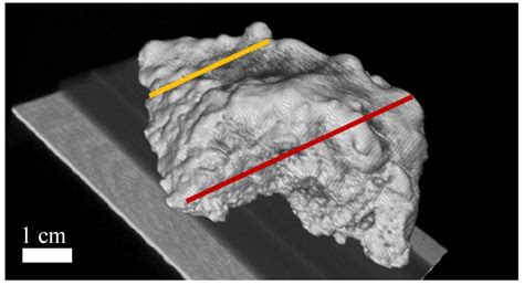 Investigation of the Frozen Bath Layer under Cold Anodes