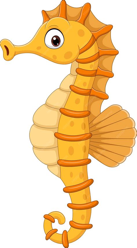 Seahorse Clip Art