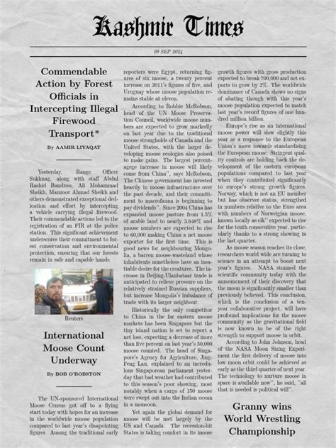 Image result for Newspaper PDF