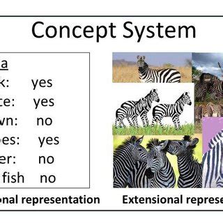 Knowledge System Real Life Examples 的图像结果