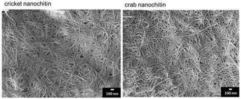 Preparation of Nanochitin from Crickets and Comparison with That from ...