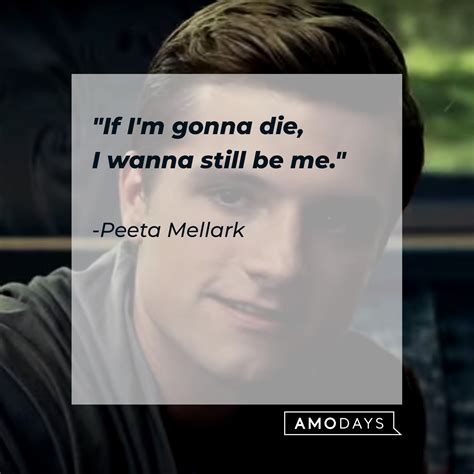 50 Peeta and Katniss Quotes to Let You Experience 'The Hunger Games ...