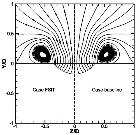 The Formation of Counter-Rotating Vortex Pair and the Nature of Liftoff ...