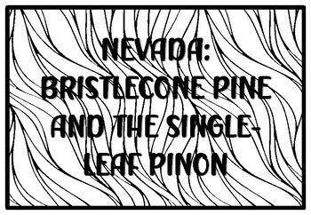 NEVADA: BRISTLECONE PINE AND THE SINGLE-LEAF PINON, State Tree Coloring ...