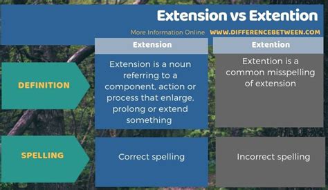 Difference Between Extension Interface 的图像结果