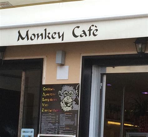 MONKEY CAFE LAIGUEGLIA (2025) All You Need to Know BEFORE You Go (with ...