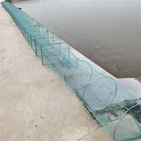 Round Steel Wire Mesh Crab Trap - China Crab Trap and King Crab Traps price