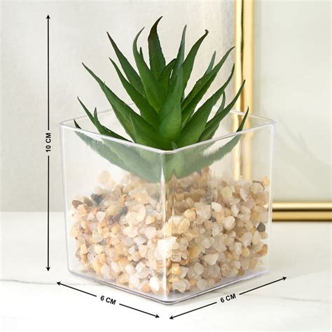 Buy Lets Garden Hedge Artificial Succulent Plant in Pot from Home ...