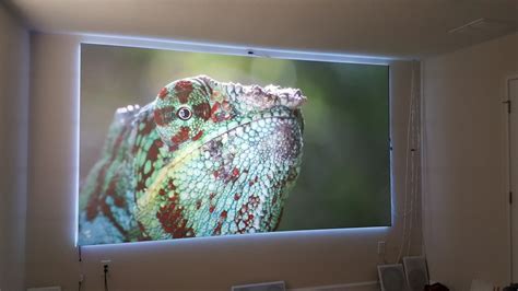 Video Projector 的图像结果