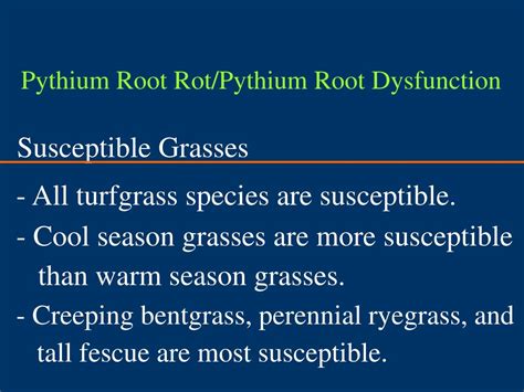 Image result for Pythium Root Rot Signs