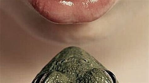 Hamilton Toad Venom 的图像结果