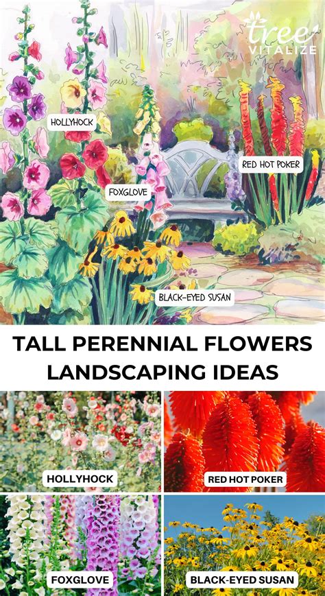 16 Tall Perennial Flowers That Make a Bold Statement in Your Garden