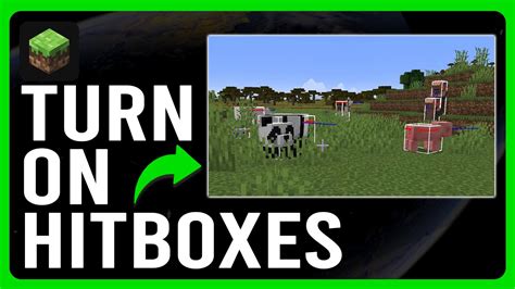 Image result for Minecraft Hitbox Tutorial