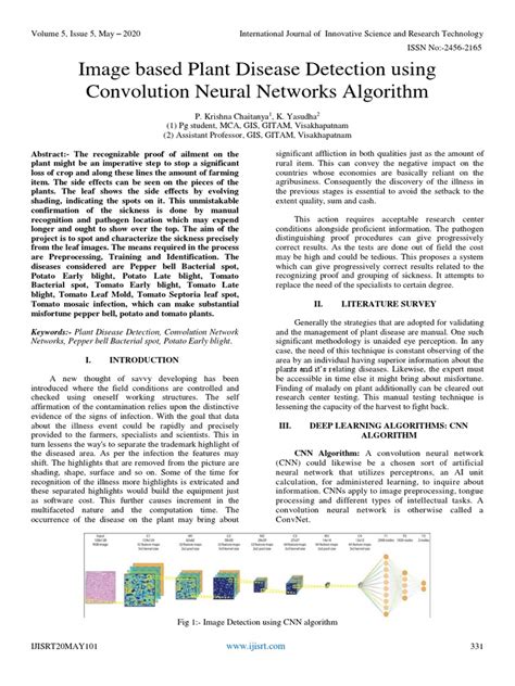 Image result for Algorithm Plant Disease Detection Using CNN