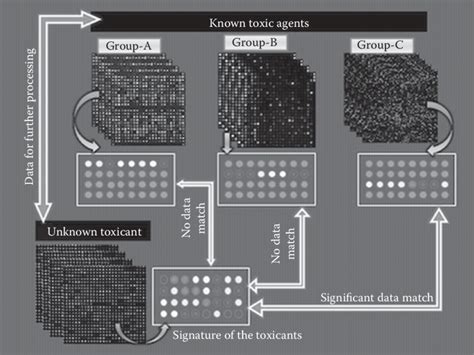 Microarray Method 的图像结果
