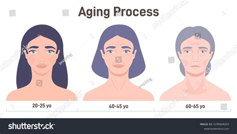 Image result for Aging Process Animation