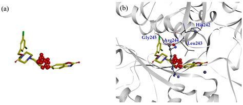 Pharmacophoric Site Identification and Inhibitor Design for Autotaxin