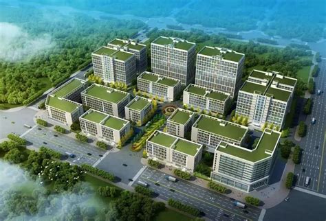 惠州将规划建设市内免税店|惠州市|惠州|免税店_新浪新闻