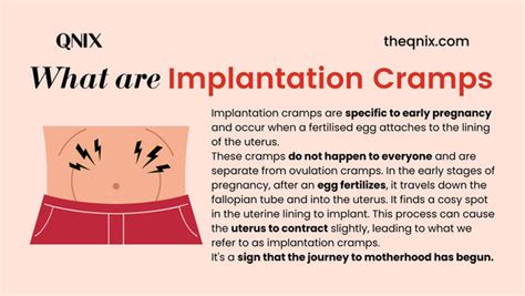 Implantation Cramps vs. Period Cramps: Key Differences You Need to Kno ...