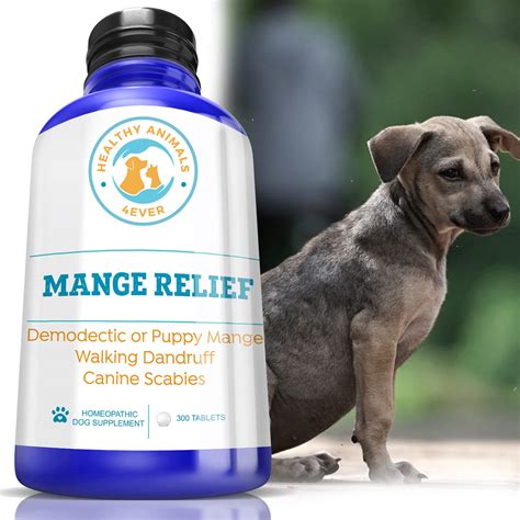 Cure for mange online