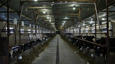 Эко ферма и производство натуральных продуктов