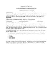 Image result for Ice Cream Digesting