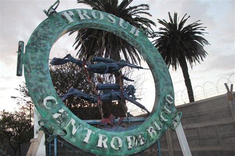 CENTRO DE BUCEO PROSUB (2026) All You Need to Know BEFORE You Go (with ...