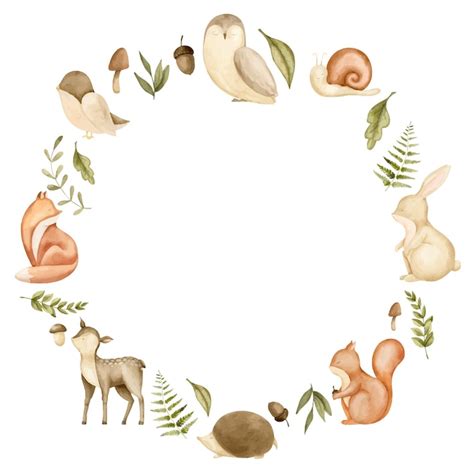 Woodland animals Images - Free Download on Freepik