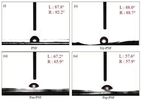 Synthesis, Characterization, and Enzyme Conjugation of Polycaprolactone ...