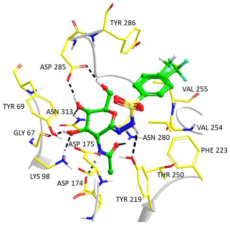 2-Acetamido-2-deoxy-d-glucono-1,5-lactone Sulfonylhydrazones: Synthesis ...