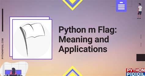Image result for What Is Flag in Python