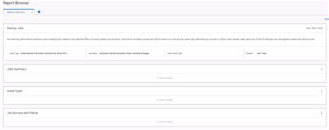 PowerProtect Data Manager: Report Browser shows no data | Dell India