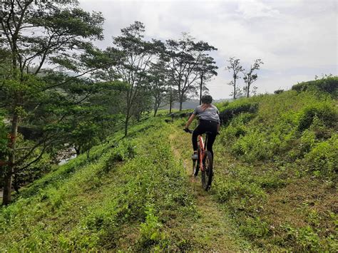 Mountain Bike Kerala (Kuttikkanam) - All You Need to Know BEFORE You Go