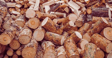 Wood Waste Management: From Waste to Value-Added Products - ScrapEco