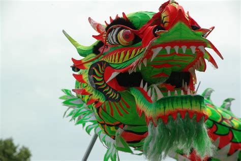 Dragon dance cultural art festival held in SW China - Xinhua | English ...