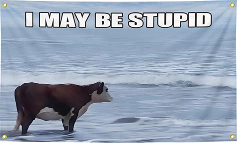 Amazon.com: I May Be Stupid Funny Tapestry Banner 3x5 Feet Flag Funny ...