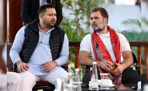 हाथी घूमे गांव-गांव जिसका हाथी उसका नाम... क्या जाति जनगणना पर राहुल ...