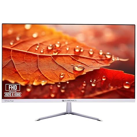 ZEBRONICS EA124 LED Monitor with FHD 1920x1080,75Hz Refresh Rate, 16.7M ...