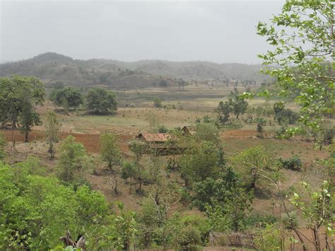 Rajpipla - JungleKey.in Image #50